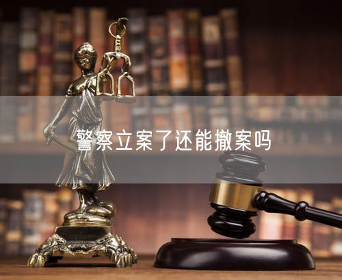 警察立案了还能撤案吗
