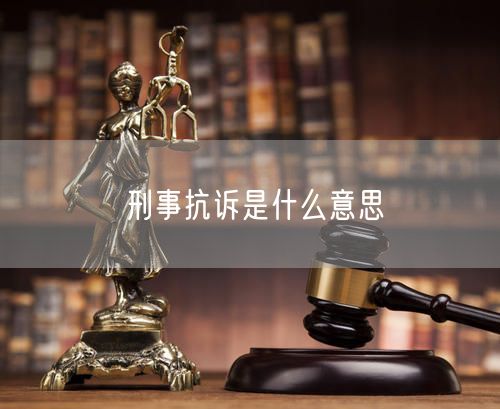 刑事抗诉是什么意思