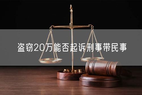 盗窃20万能否起诉刑事带民事