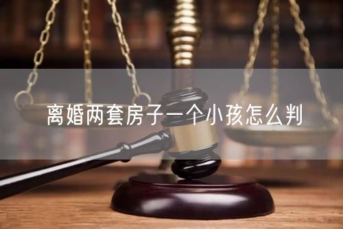 离婚两套房子一个小孩怎么判