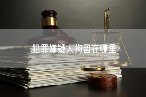犯罪嫌疑人拘留在哪里