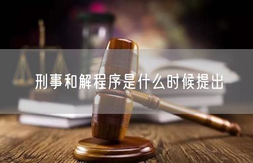 刑事和解程序是什么时候提出