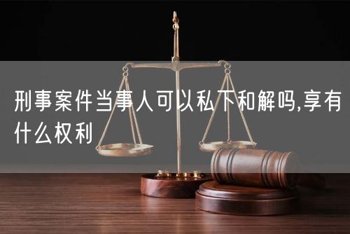 刑事案件当事人可以私下和解吗,享有什么权利