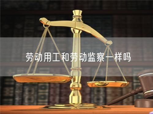 劳动用工和劳动监察一样吗