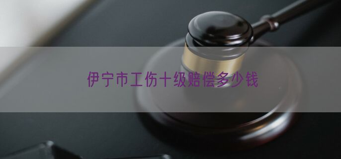 伊宁市工伤十级赔偿多少钱