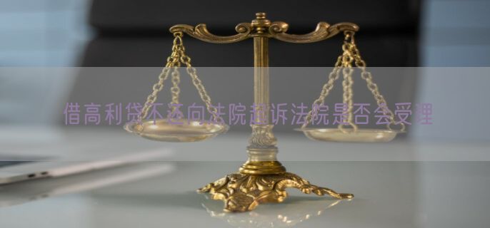 借高利贷不还向法院起诉法院是否会受理