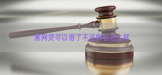 黑网贷可以借了不还吗会怎么样