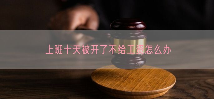 上班十天被开了不给工资怎么办