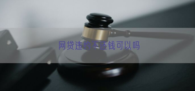 网贷违约不还钱可以吗