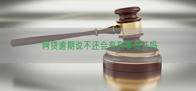 网贷逾期说不还会有刑事责任吗