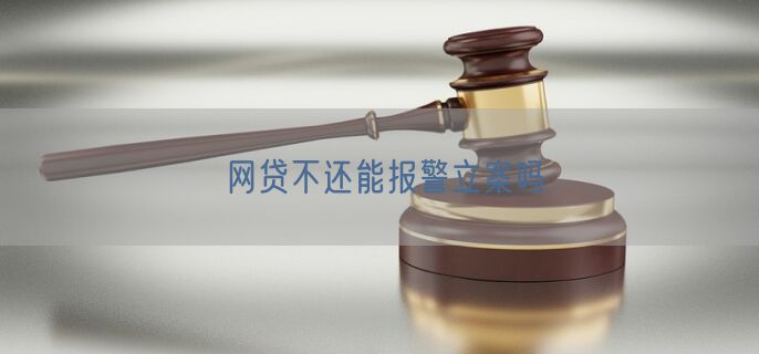 网贷不还能报警立案吗