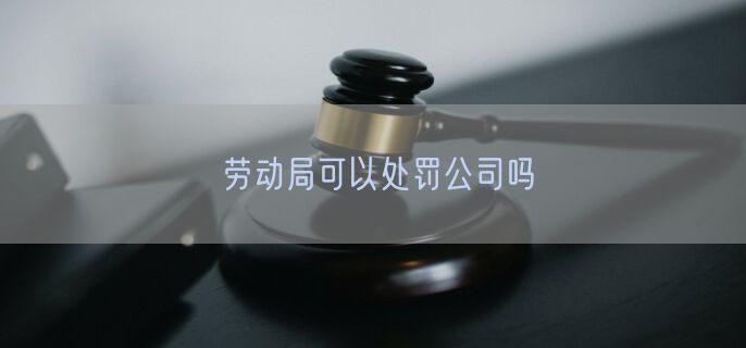 劳动局可以处罚公司吗