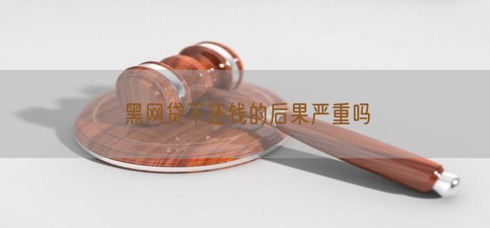 黑网贷不还钱的后果严重吗