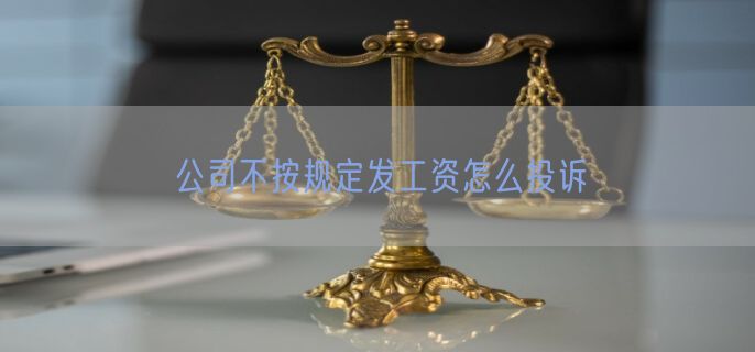 公司不按规定发工资怎么投诉