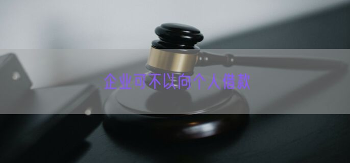 企业可不以向个人借款