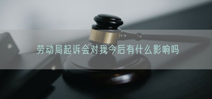 劳动局起诉会对我今后有什么影响吗