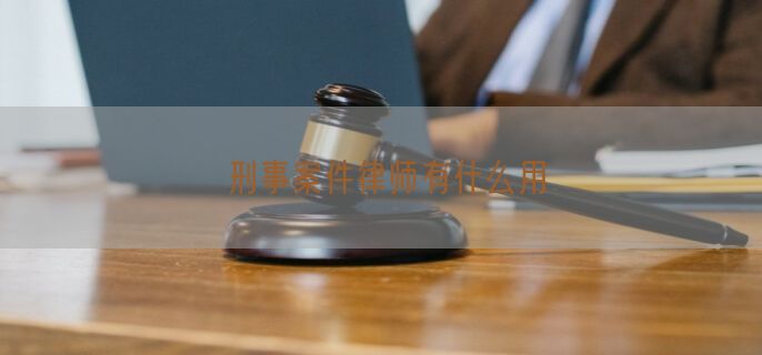 刑事案件律师有什么用