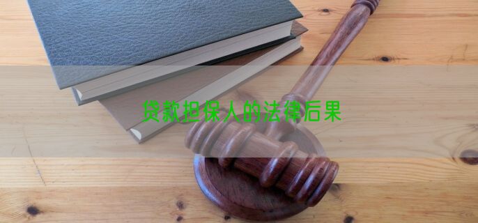 贷款担保人的法律后果