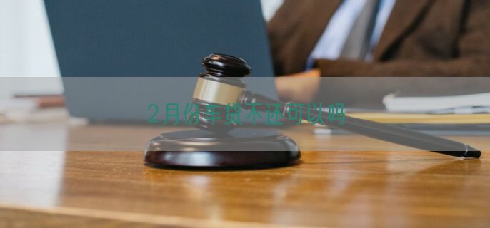 2月份车贷不还可以吗