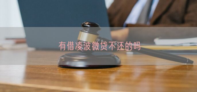 有借凌波微贷不还的吗
