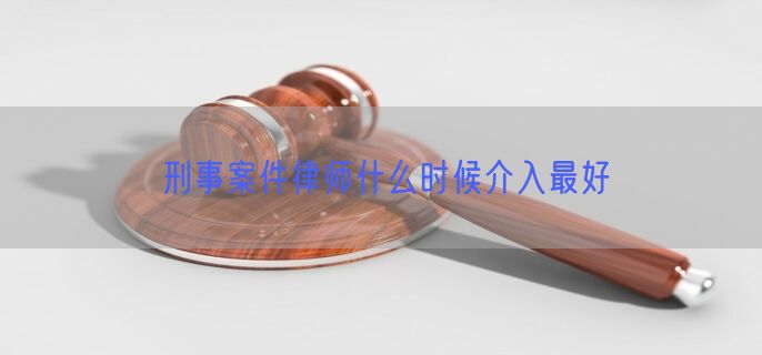 刑事案件律师什么时候介入最好