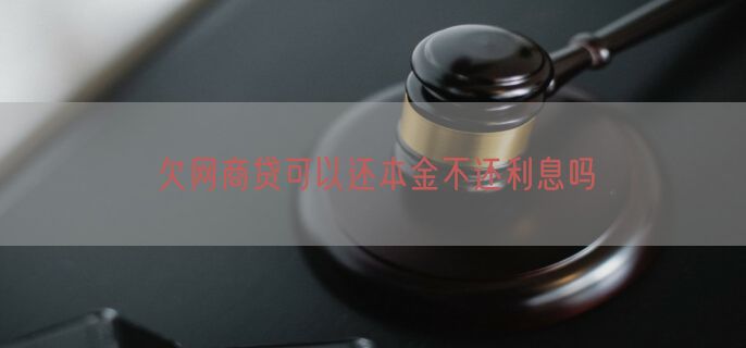 欠网商贷可以还本金不还利息吗