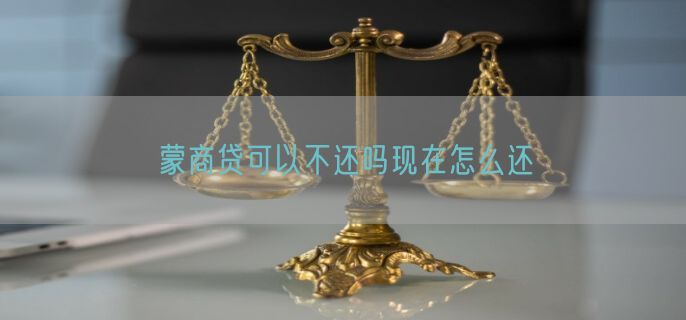 蒙商贷可以不还吗现在怎么还