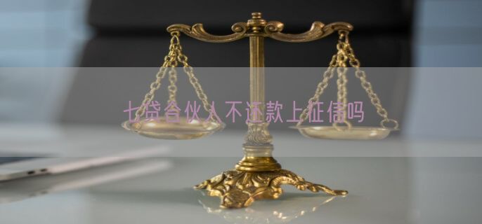 七贷合伙人不还款上征信吗