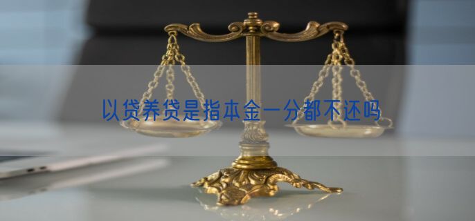 以贷养贷是指本金一分都不还吗