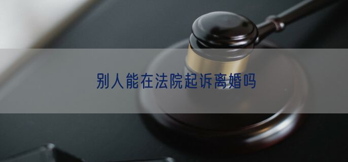 别人能在法院起诉离婚吗