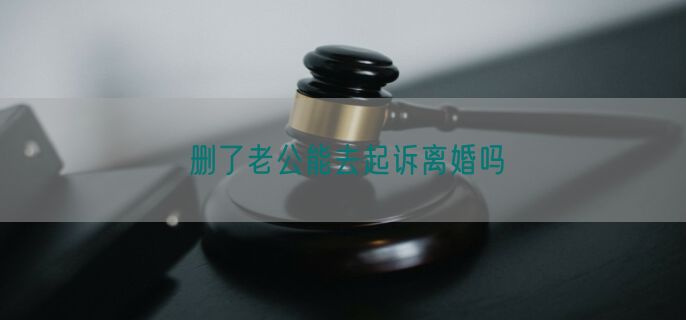 删了老公能去起诉离婚吗