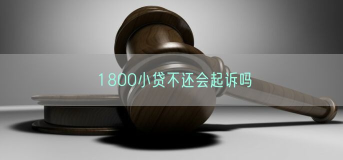 1800小贷不还会起诉吗