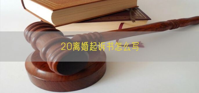 20离婚起诉书怎么写