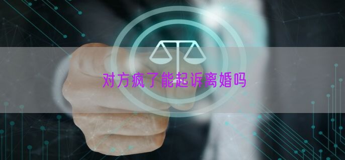 对方疯了能起诉离婚吗