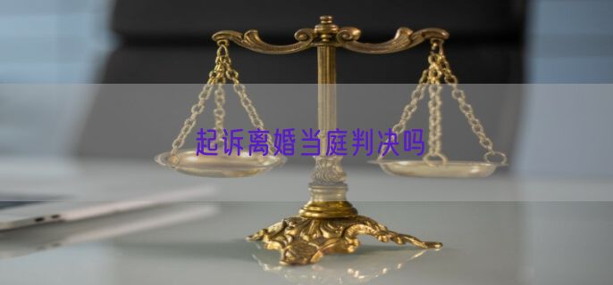 起诉离婚当庭判决吗
