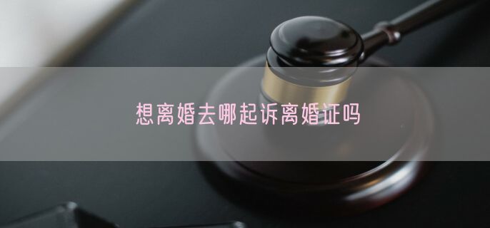 想离婚去哪起诉离婚证吗