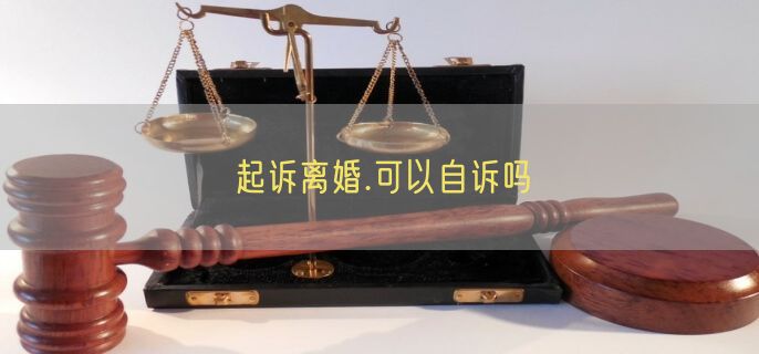 起诉离婚.可以自诉吗