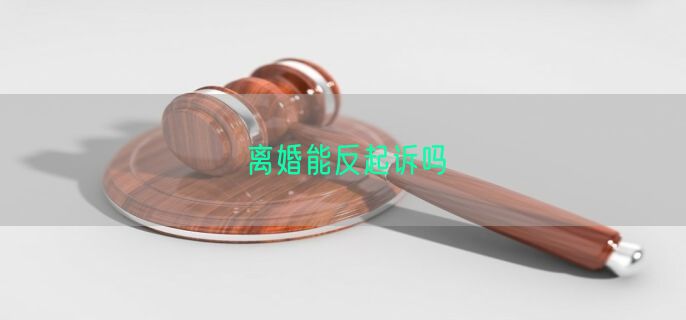 离婚能反起诉吗