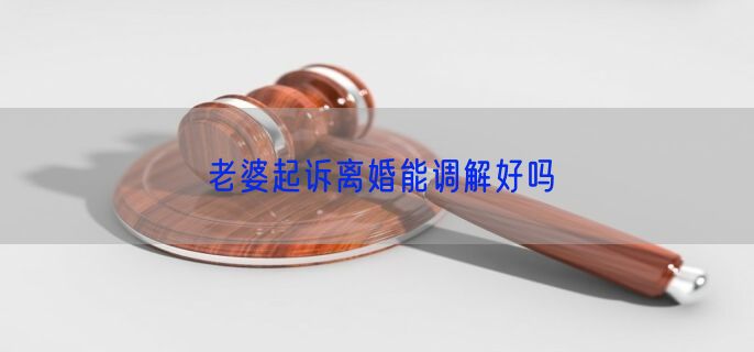 老婆起诉离婚能调解好吗