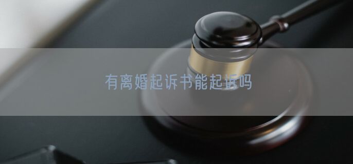 有离婚起诉书能起诉吗