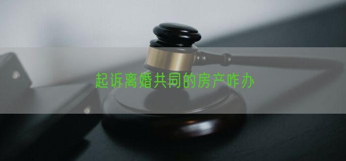起诉离婚共同的房产咋办