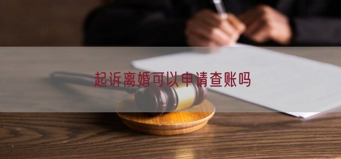 起诉离婚可以申请查账吗