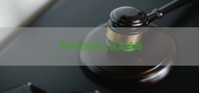 怀孕期间能起诉离婚吗