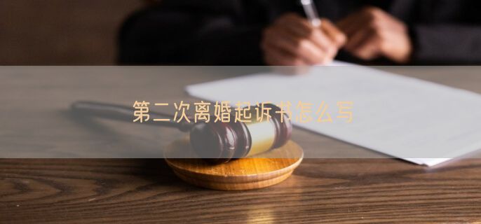 第二次离婚起诉书怎么写