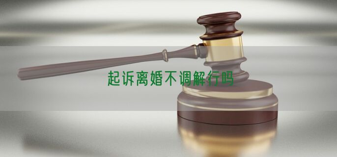 起诉离婚不调解行吗