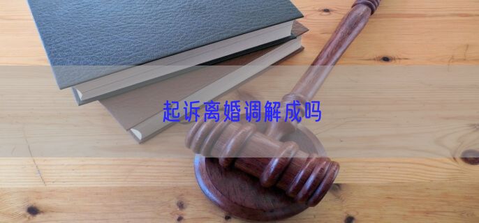 起诉离婚调解成吗