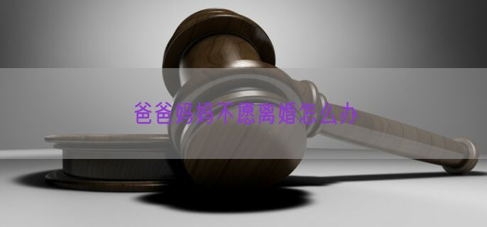 爸爸妈妈不愿离婚怎么办
