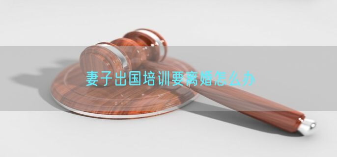 妻子出国培训要离婚怎么办