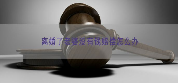 离婚了老婆没有钱赔偿怎么办