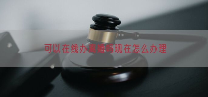 可以在线办离婚吗现在怎么办理